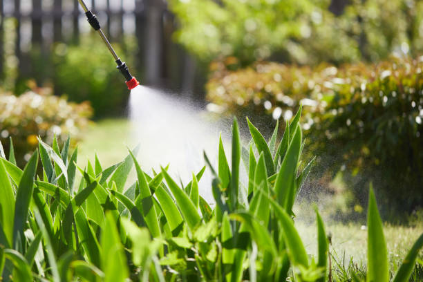 24/7 Emergency Mosquito Control experts in Palmyra, IN
